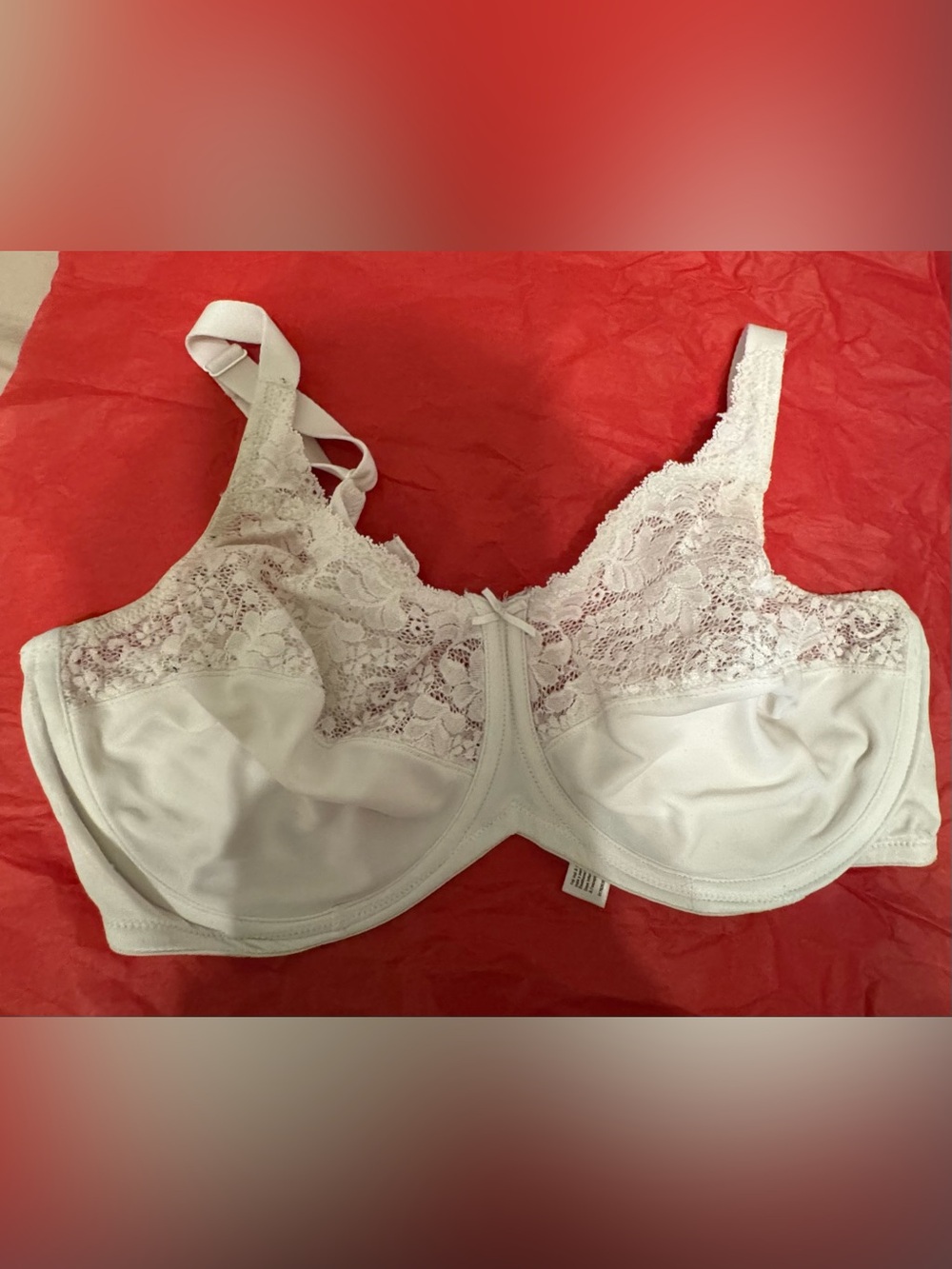 Lilyette White Lace Underwire Bra